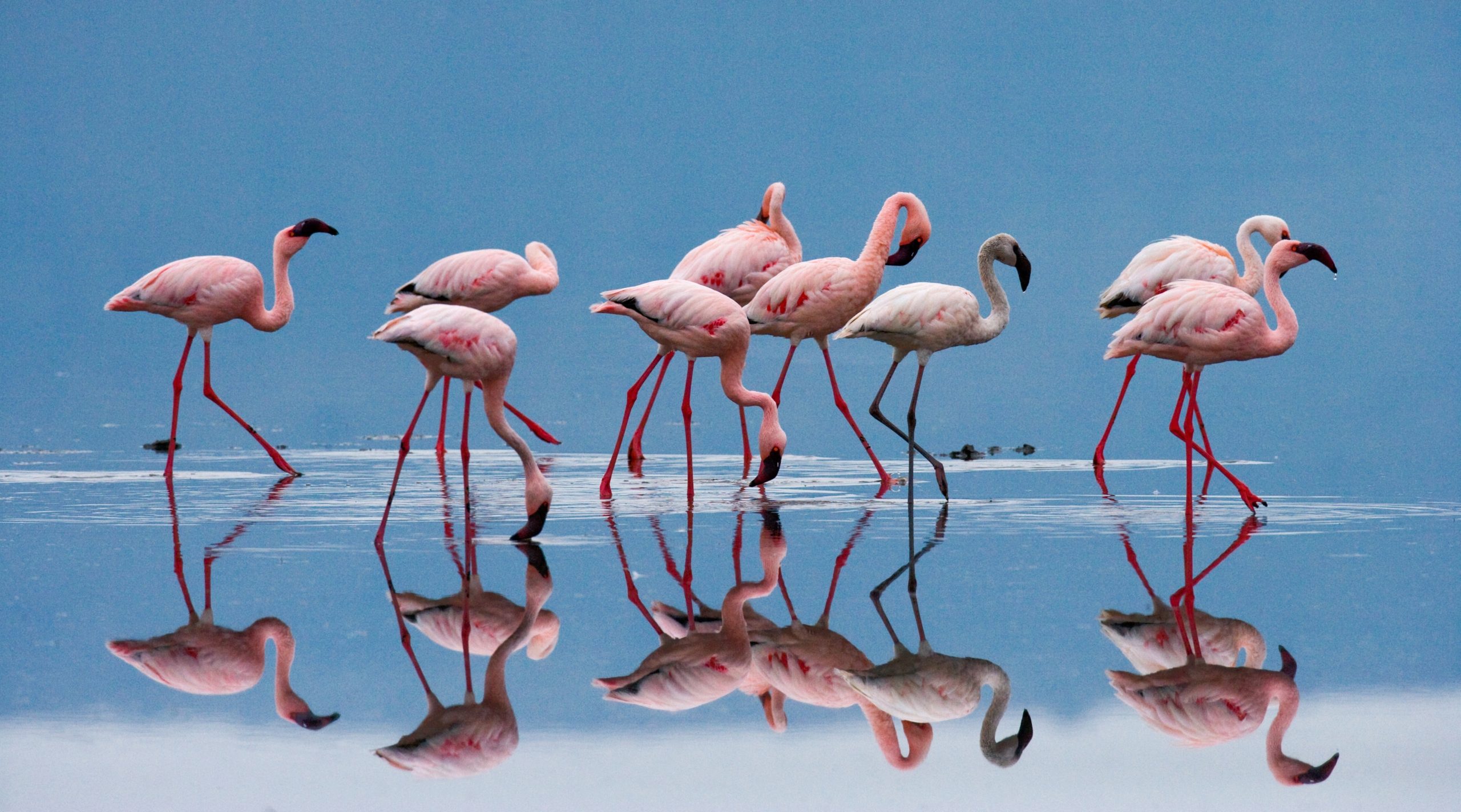 Nakuru	County