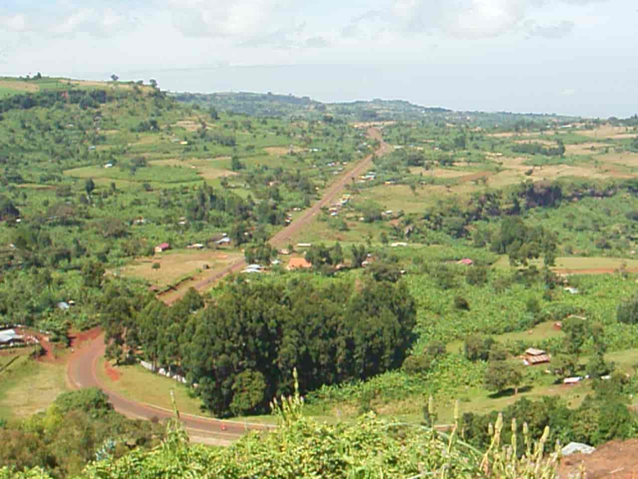 Trans-Nzoia	County